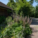 Massif de fleurs hautes à coté d'une maison en bois