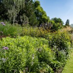 Massif de fleurs hautes à coté d'une bande de gazon
