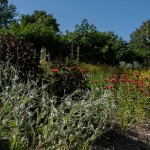 Massif de fleurs hautes