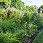 Massif de fleurs hautes et de graminées à coté d'une bande de gazon