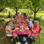 Un groupe de personnes attablées dans un verger
